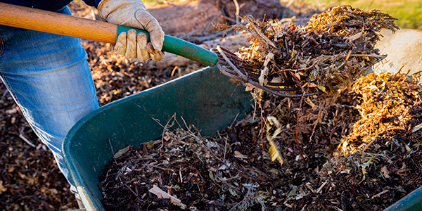 mulch installation