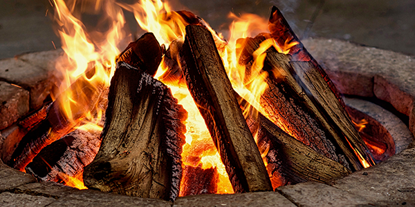 What Makes Good Firewood - Why People Order Firewood from Kurtz Bros