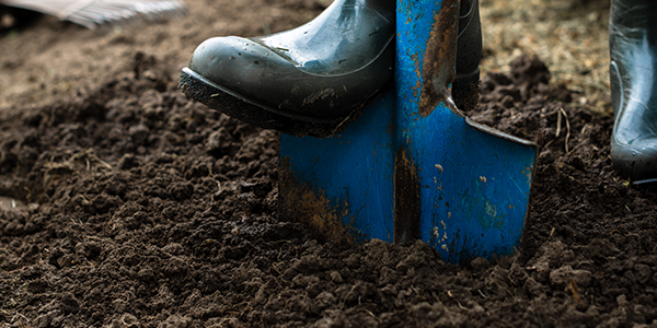 Kurtz' Different Kinds of Bulk Soil - And How to Use Them in the Fall!