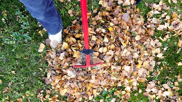 raking-2756006_640